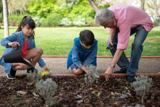 Kids watering plants in garden